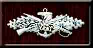CB Warfare pin