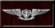 EAWS pin